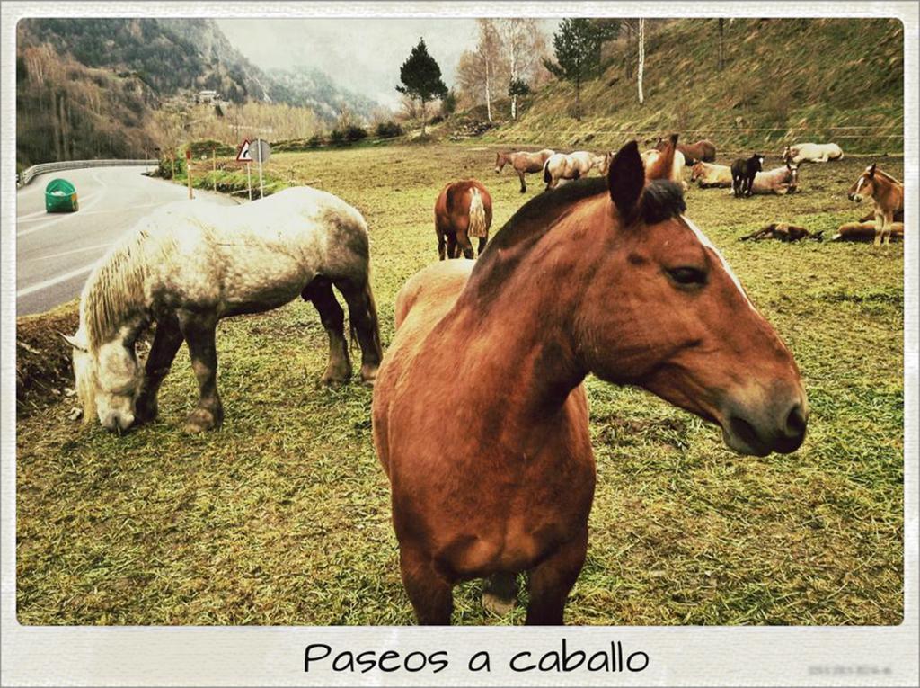 Hotel Sant Miquel อันดอร์รา ลา เวลลา ภายนอก รูปภาพ